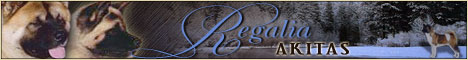   Regalia akitas