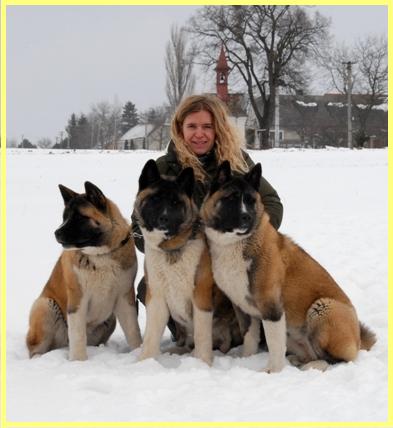   Gilly, Dessi, Lucky 