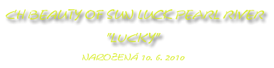   Americká akita Lucky