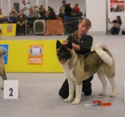   Americká akita Torazo FyreProof Pearl Mitchell