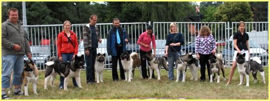 Pearl River AKitas team... :)))