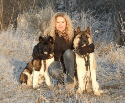   American akitas Kentucky Gimi Ike