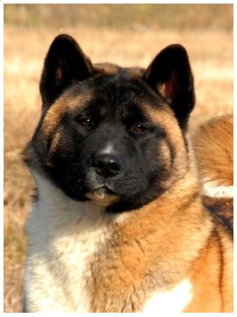   Beauty of Sun Luck Pearl River