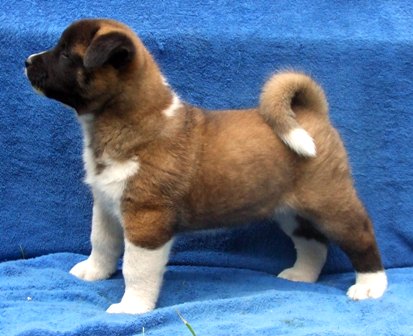 Beauty of Sun Luck Pearl River