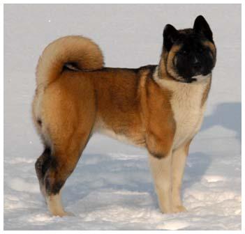   Beauty of Sun Luck Pearl River