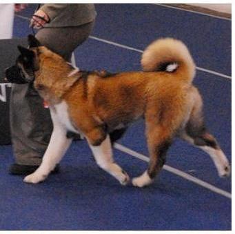   Beauty of Sun Luck Pearl River