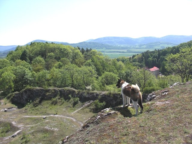 nablhoeulomu.jpg