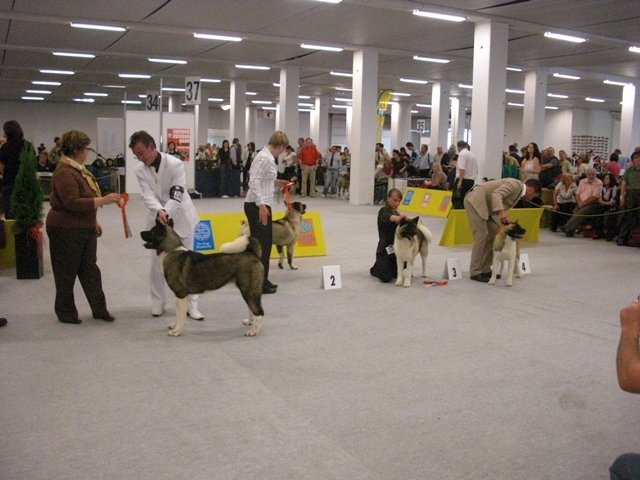 svtovvstavabratislava2009.jpg